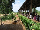 IMG_1115.jpg