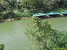 IMG_1117.jpg