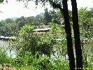 IMG_1123.jpg