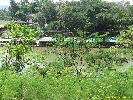 IMG_1124.jpg