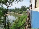 IMG_1125.jpg