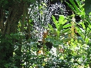 IMG_1131.jpg