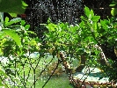 IMG_1132.jpg