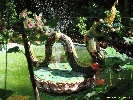 IMG_1134.jpg