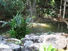 IMG_1137.jpg