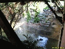 IMG_1139.jpg