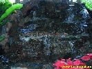 IMG_1145.jpg