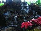IMG_1146.jpg