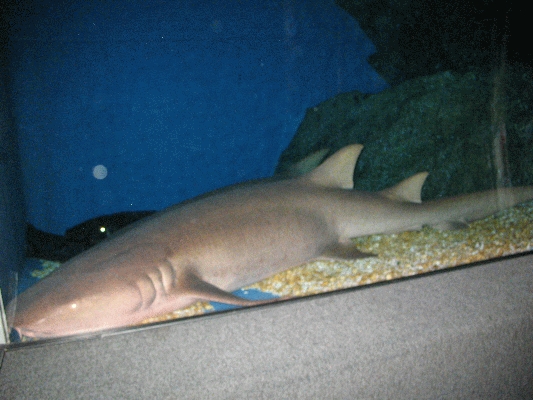 IMG_3717.JPG