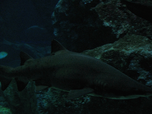 IMG_3728.JPG
