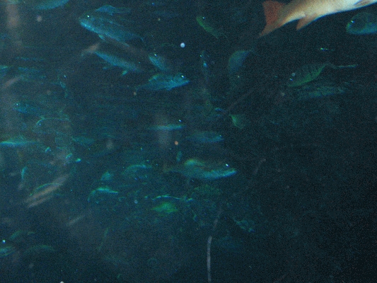 IMG_3734.JPG