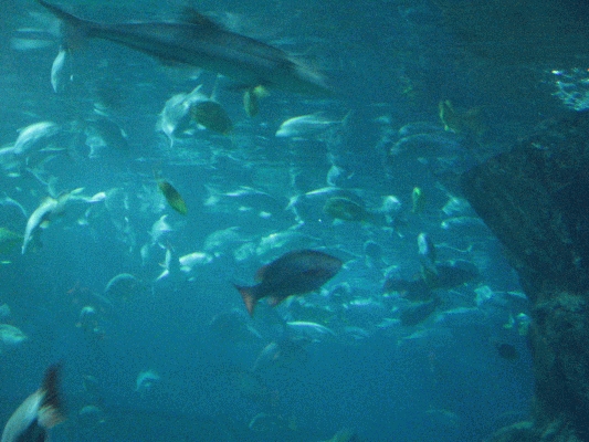 IMG_3735.JPG