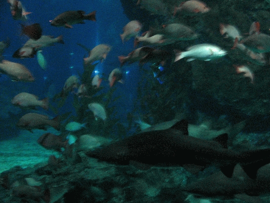 IMG_3741.JPG