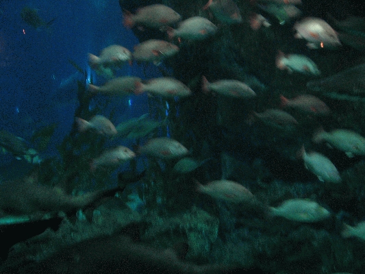 IMG_3743.JPG