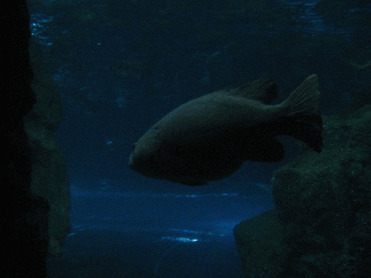 IMG_3744.JPG