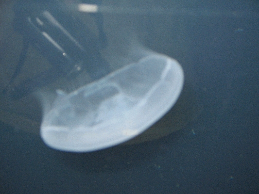IMG_3746.JPG
