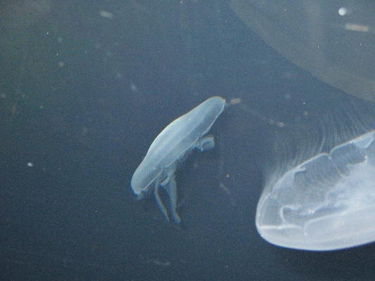 IMG_3747.JPG