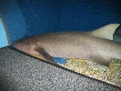 IMG_3716.JPG