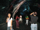 IMG_3718.JPG