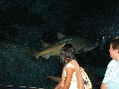 IMG_3725.JPG