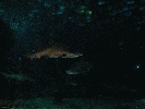 IMG_3726.JPG