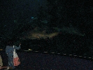 IMG_3727.JPG