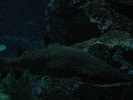 IMG_3728.JPG