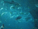 IMG_3735.JPG
