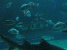IMG_3736.JPG