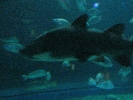 IMG_3738.JPG
