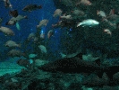 IMG_3741.JPG