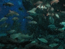IMG_3742.JPG
