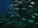 IMG_3743.JPG