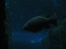 IMG_3744.JPG