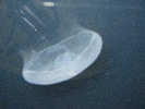 IMG_3746.JPG