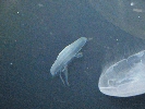 IMG_3747.JPG