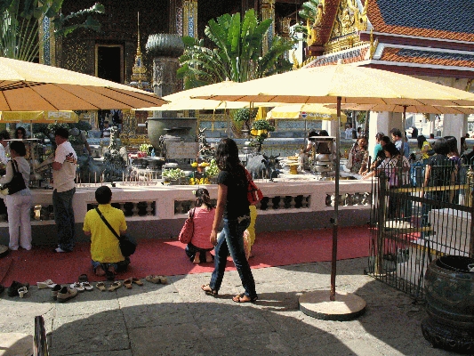 IMG_3708.JPG