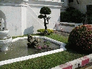 IMG_3714.JPG