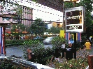 IMG_3768.JPG