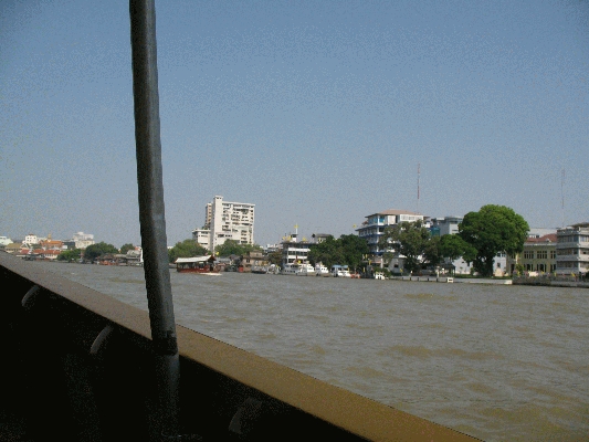 IMG_3690.JPG
