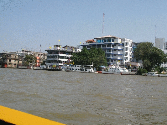 IMG_3693.JPG