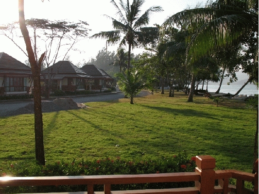 IMG_3822.jpg