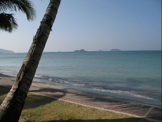 IMG_3832.jpg