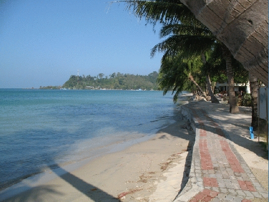 IMG_3833.jpg