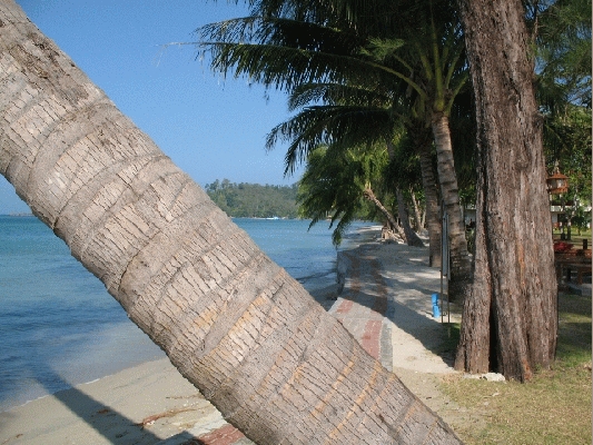IMG_3834.jpg