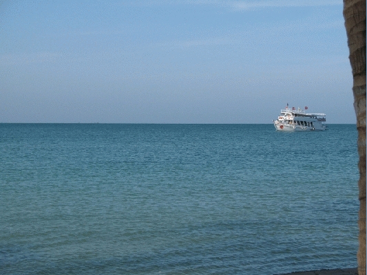 IMG_3863.jpg