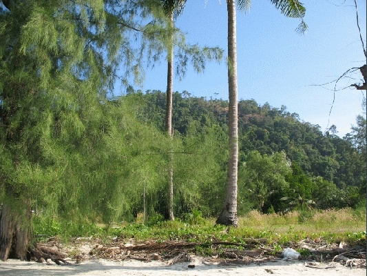 IMG_3865.jpg