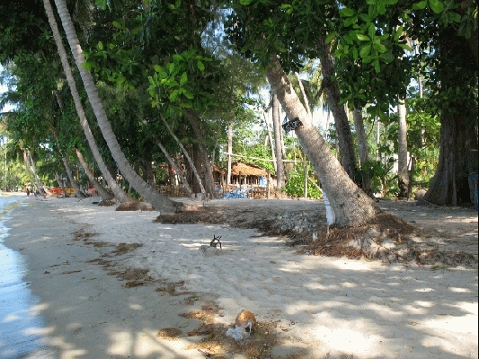 IMG_3876.jpg