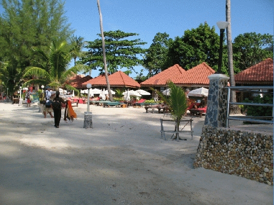 IMG_3880.jpg