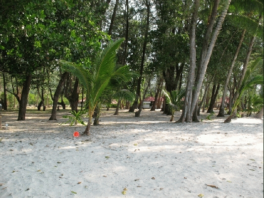 IMG_3887.jpg